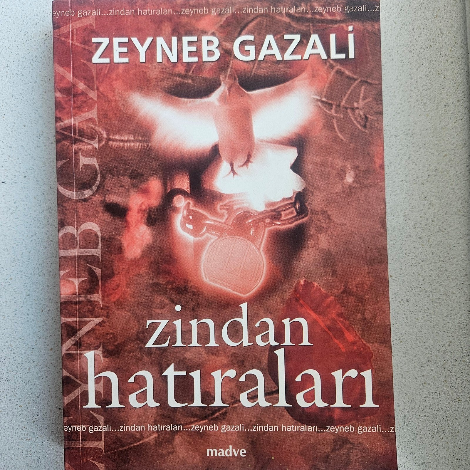 Zindan Hatiralari; Zeyneb Gazali, Verzenden