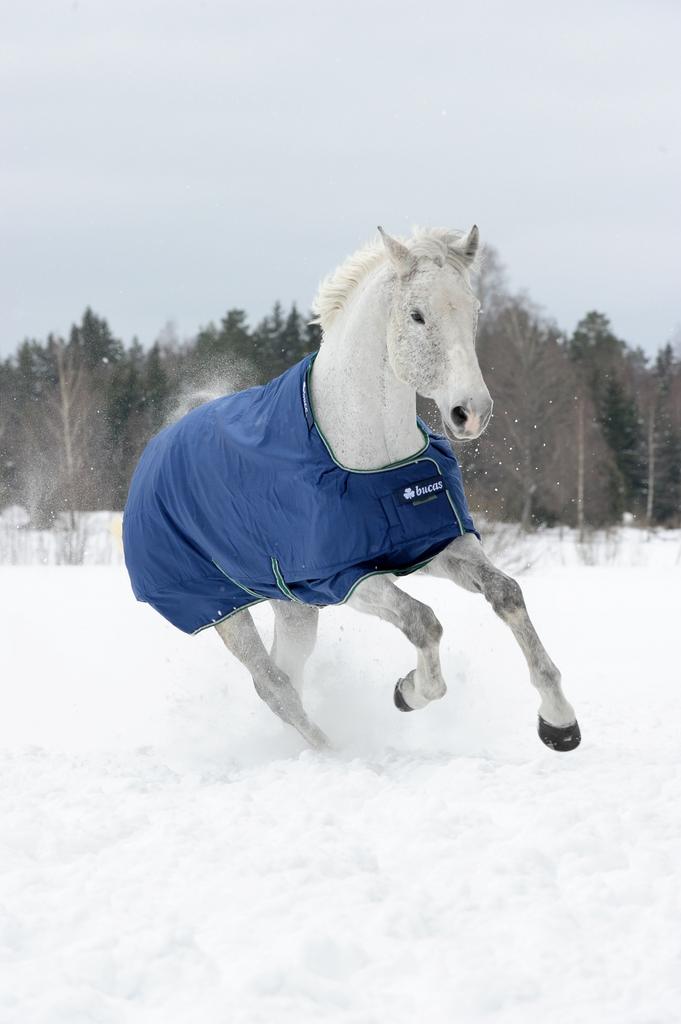 NIEUWE Bucas Smartex Turnout Extra B/N winterdeken 7.0 (215), Dieren en Toebehoren, Paarden en Pony's | Dekens en Dekjes, Ophalen of Verzenden