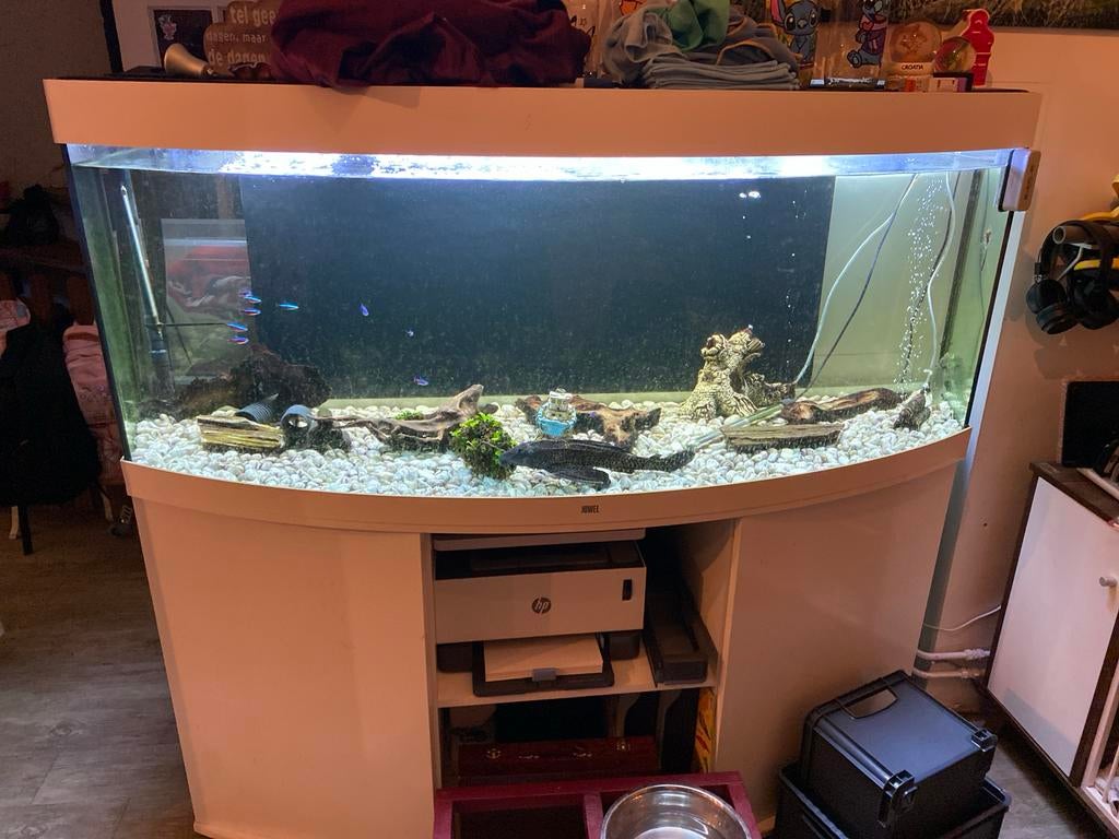 Juwel Vision 450 aquarium met onderkast en JBL e1902 filter, Dieren en Toebehoren, Vissen | Aquaria en Toebehoren, Ophalen, Gebruikt