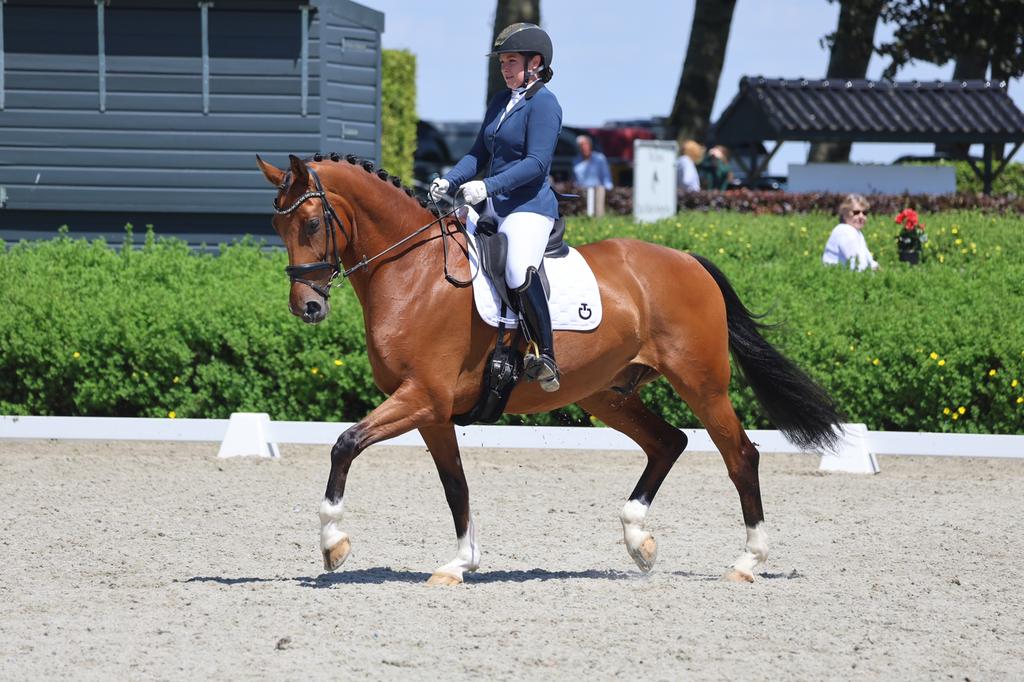 Zadelmak maken, corrigeren/doorrijden,uitbrengen op concours