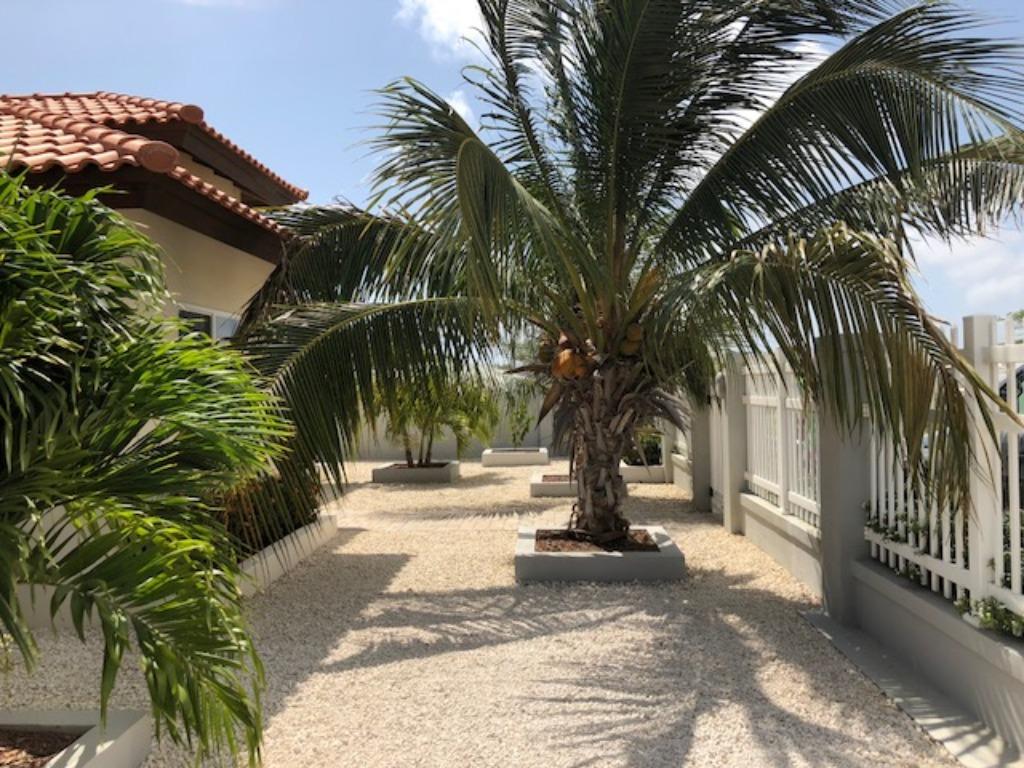 Goedgelegen en net vakantieappartement te huur Aruba Noord, Vakantie, Vakantiehuizen | Nederlandse Antillen, Internet, Dorp, Aruba