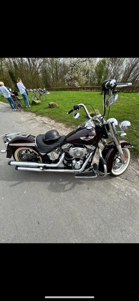 Harly davidson, 2 cilinders, Particulier, ABS, Chopper