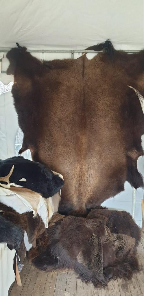 Authentieke Buffalo Robe / Bizon Vacht - Enorm!, Ophalen of Verzenden