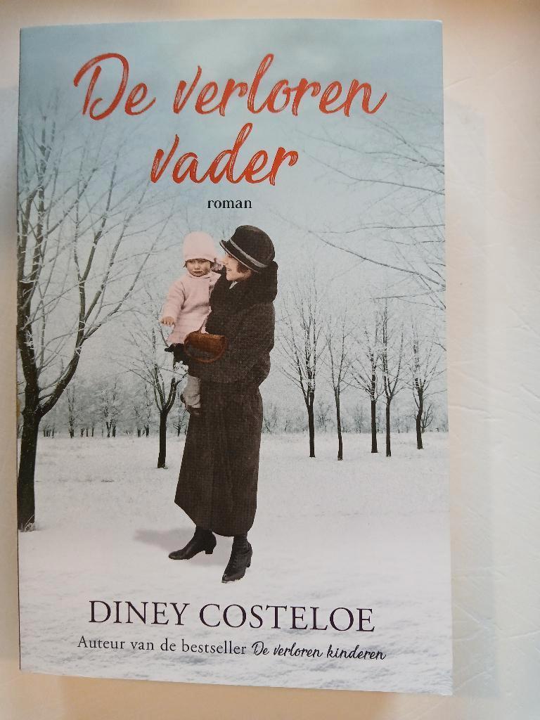 Diney Costeloe - De verloren vader, Ophalen of Verzenden, Zo goed als nieuw, Diney Costeloe