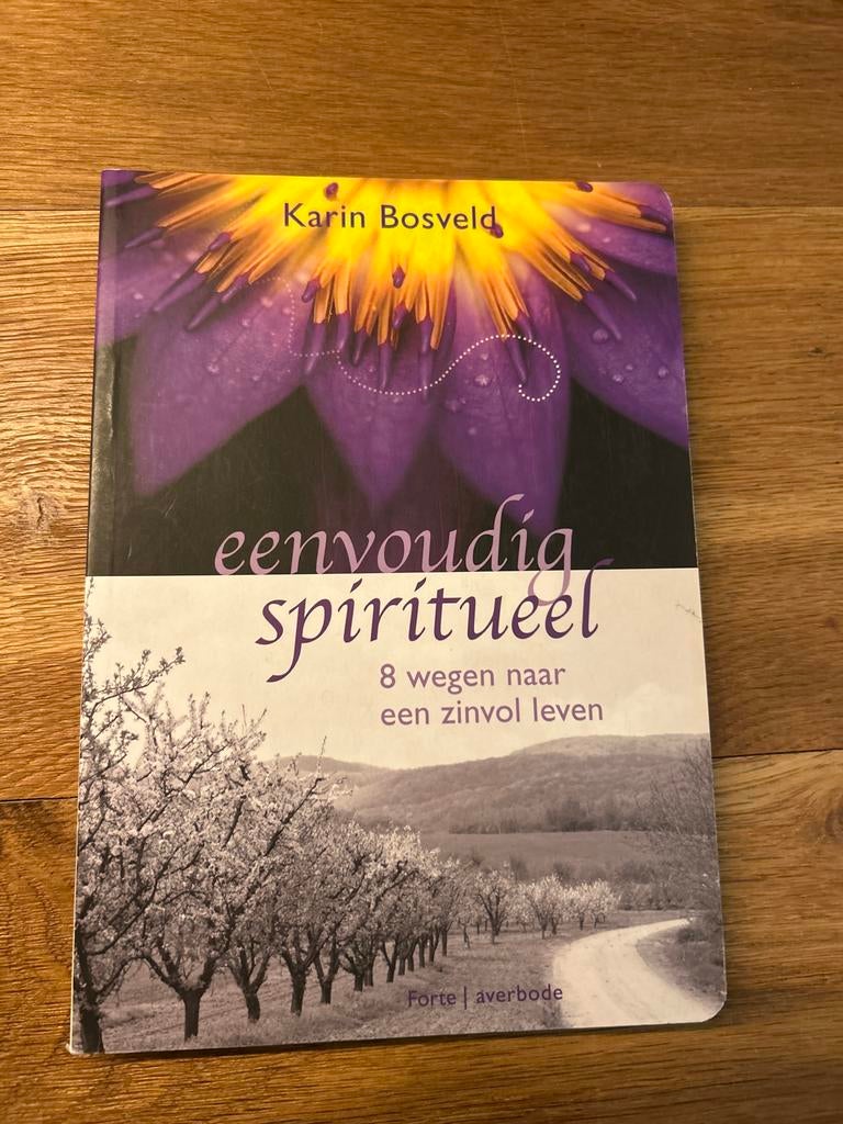 Eenvoudig Spiritueel - Karin Bosveld, Ophalen of Verzenden, Zo goed als nieuw, Spiritualiteit algemeen, Achtergrond en Informatie