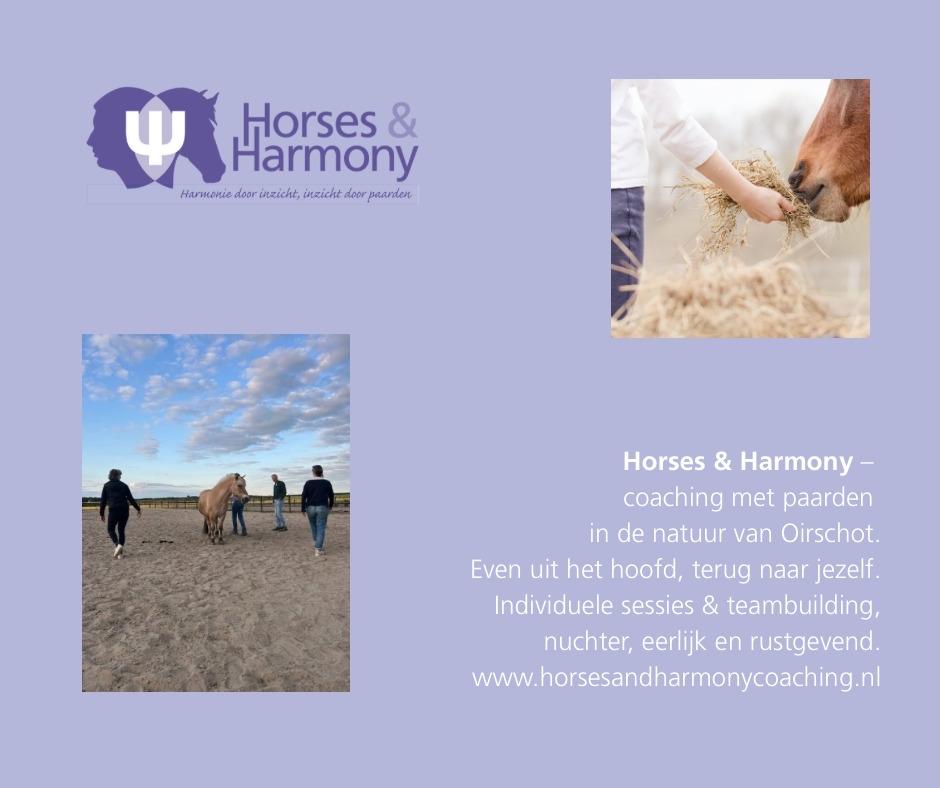 Paardencoaching omgeving Eindhoven/Oirschot, Persoonlijke ontwikkeling