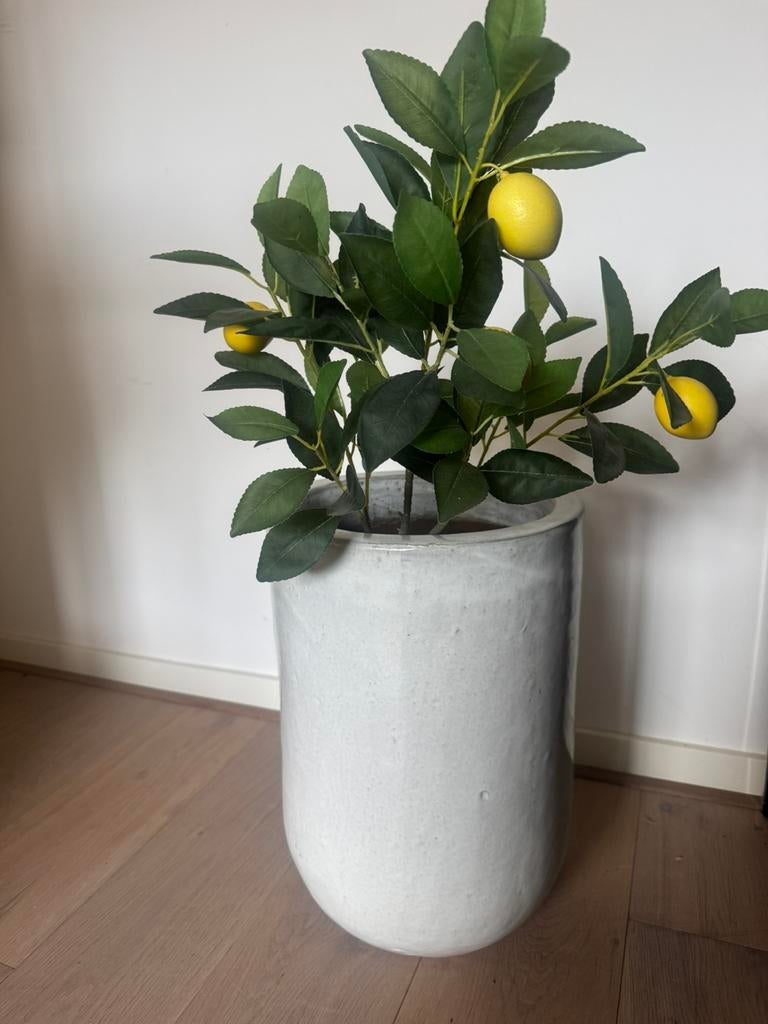 Pot wit 45x30 cm kleur wit, Ophalen of Verzenden, Halfschaduw, Minder dan 100 cm