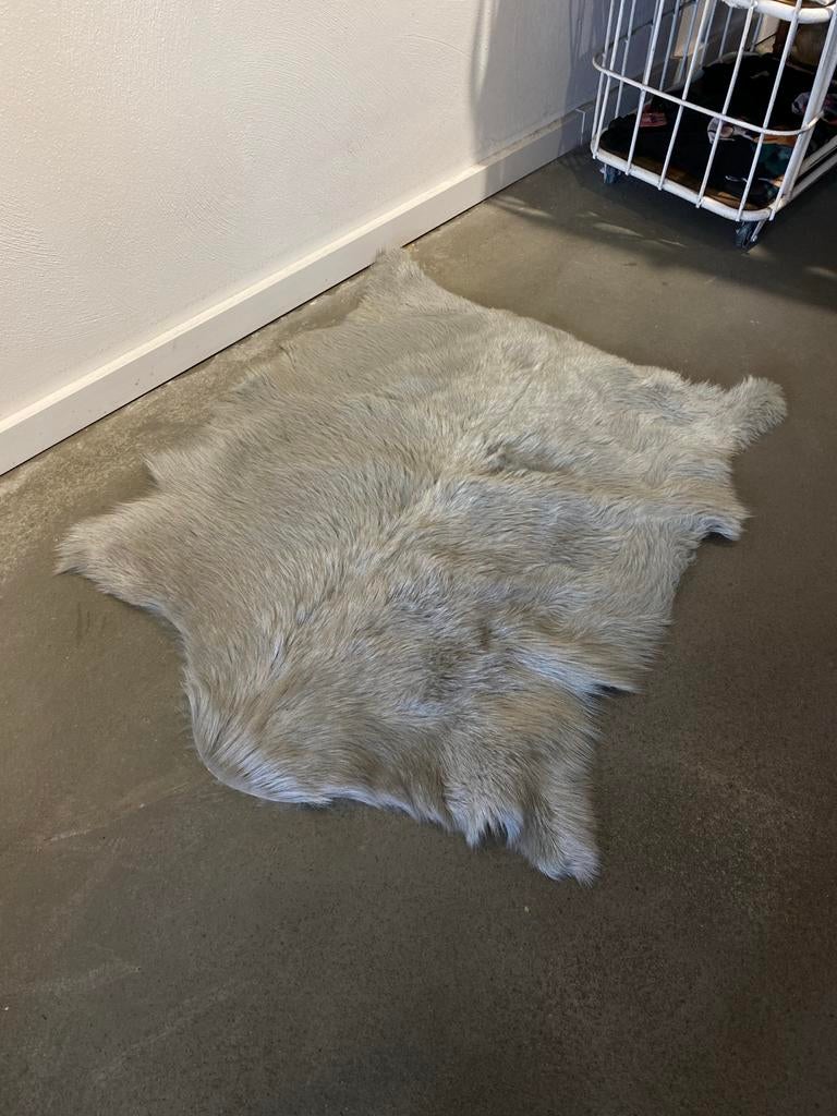 Zachte Geitenvacht, 100 tot 150 cm, Nieuw, 50 tot 100 cm, Ophalen of Verzenden
