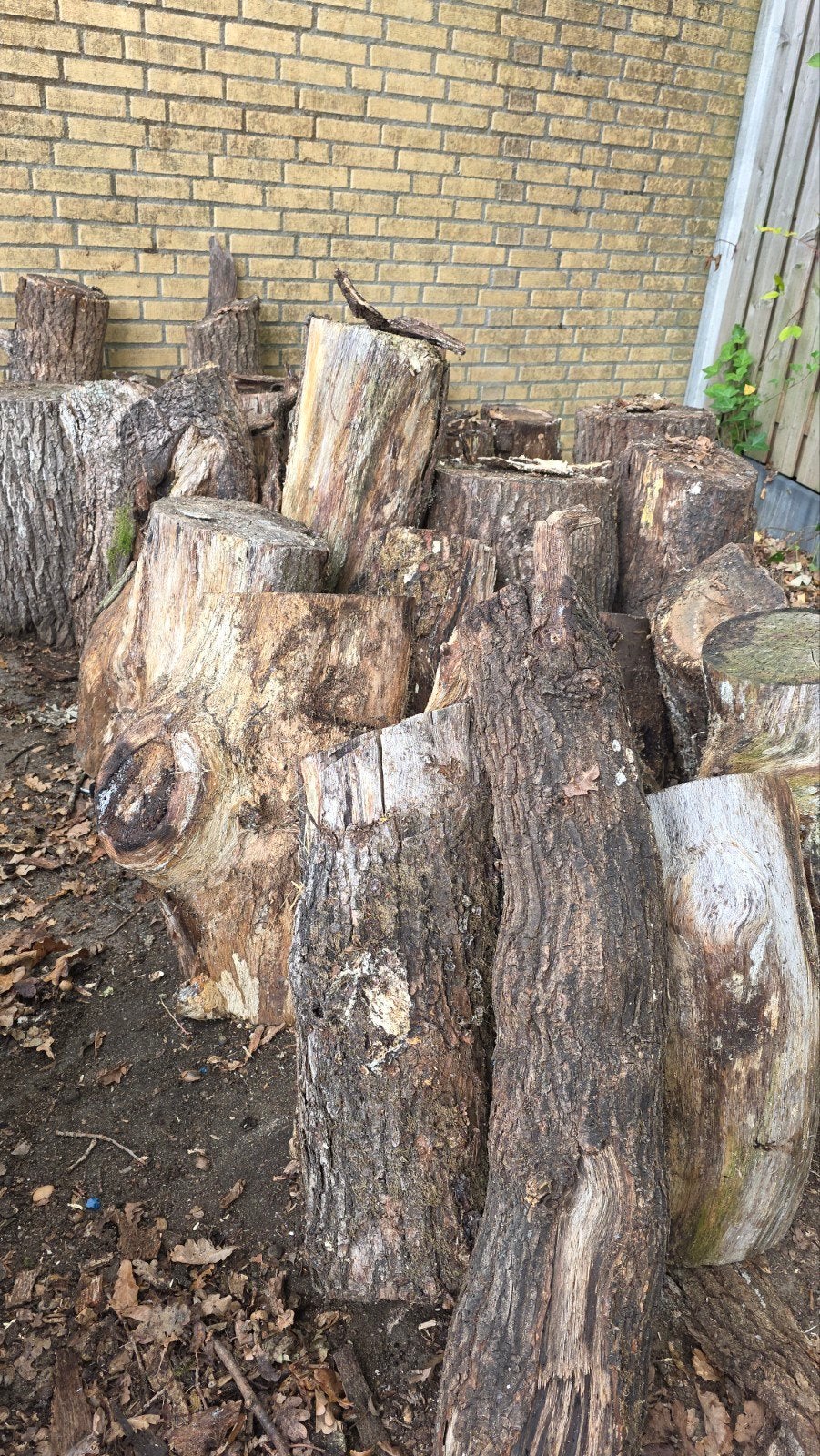 harde hout , brandhout, Tuin en Terras, Haardhout, Minder dan 3 m³, Ophalen of Verzenden