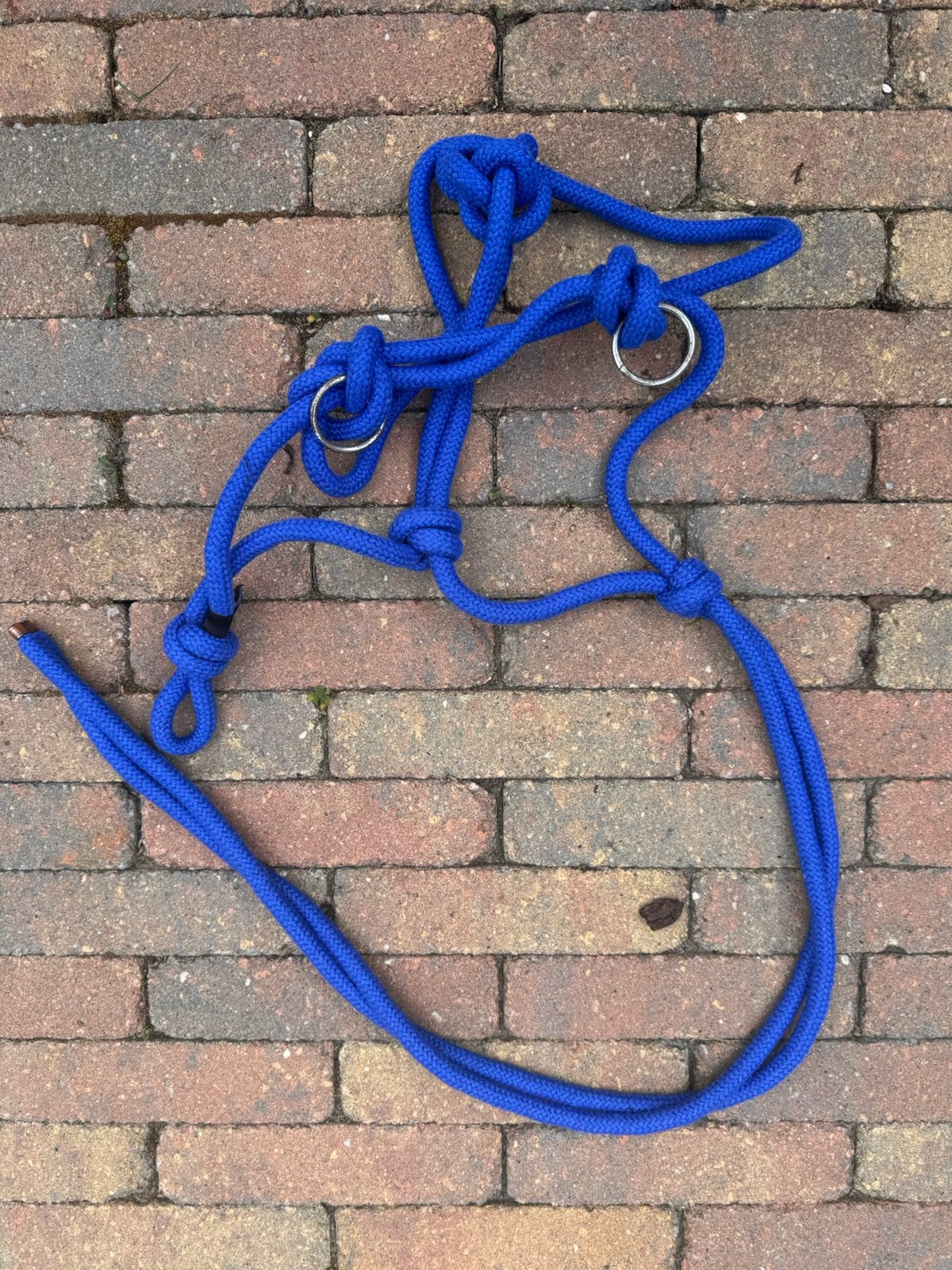 Qhp touwhalster en halstertouw blauw, Dieren en Toebehoren, Ophalen of Verzenden, Nieuw, Overige soorten