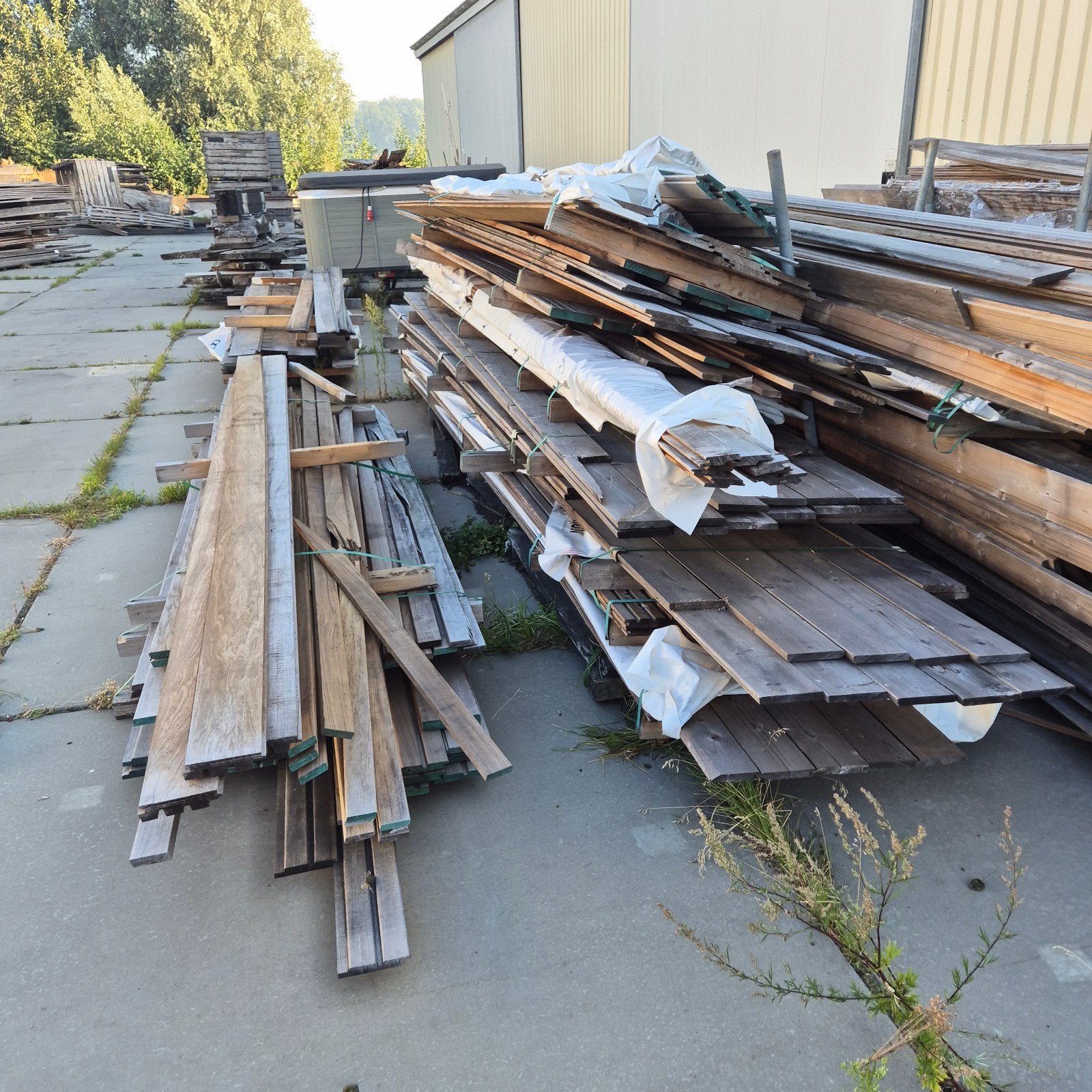 Enorme partij brandhout: Thermo Vuren gevelbekleding, Doe-het-zelf en Verbouw, Hout en Planken, Ophalen