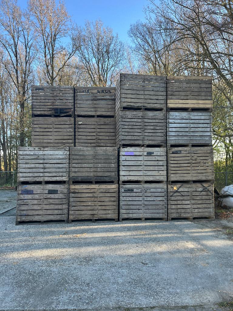 Houten kisten / opslagkisten | direct beschikbaar, Doe-het-zelf en Verbouw, Ophalen, Gebruikt, Overige typen, 50 mm of meer