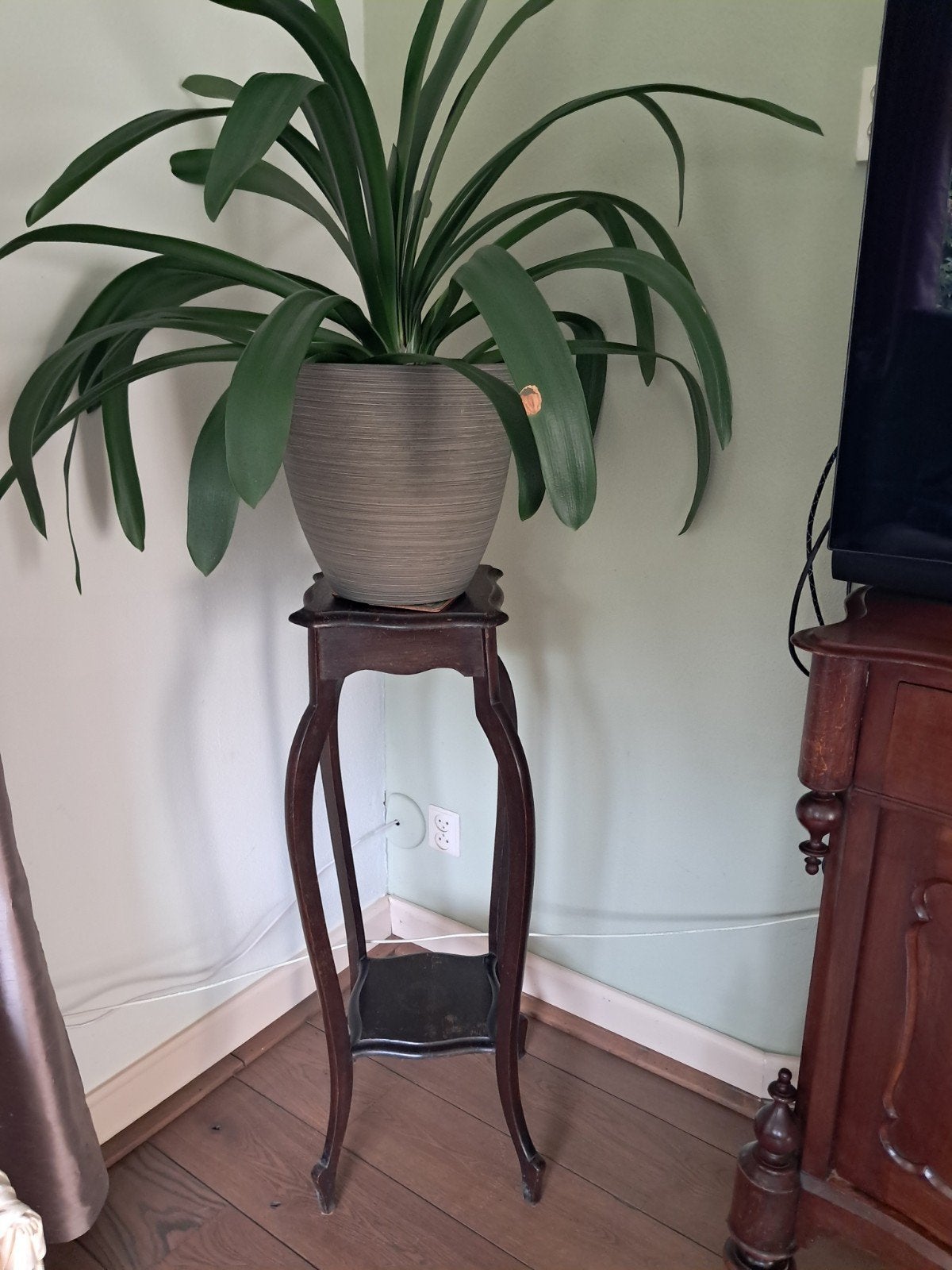 Hoge plantentafel, Minder dan 55 cm, Rond, Ophalen of Verzenden, Zo goed als nieuw