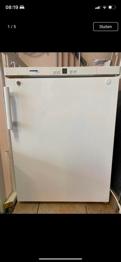 Horeca vriezer premium Liebherr, Vrieskast, Gebruikt, 160 cm of meer, Ophalen of Verzenden