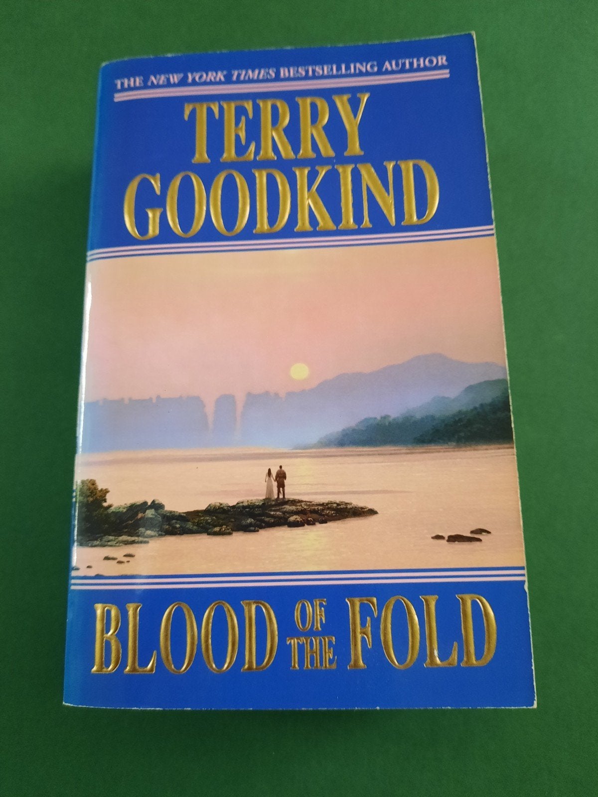 Terry Goodkind. Blood of the Fold, Boeken, Fantasy, Ophalen of Verzenden, Gelezen