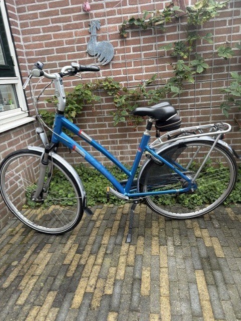 Giant damesfiets - achterstuk kettingkast ontbreekt, Ophalen, Gebruikt, Velgrem, Versnellingen