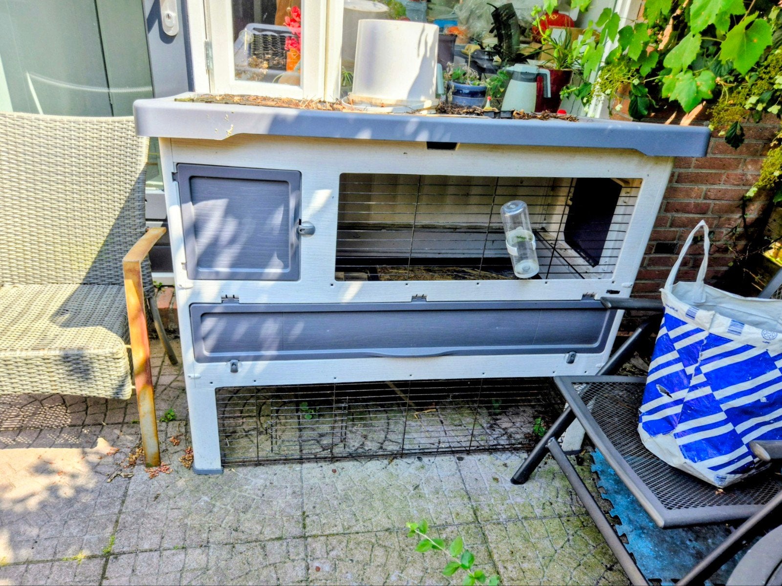 grijsblauw, Dieren en Toebehoren, Knaagdieren en Konijnen | Hokken en Kooien, Ophalen