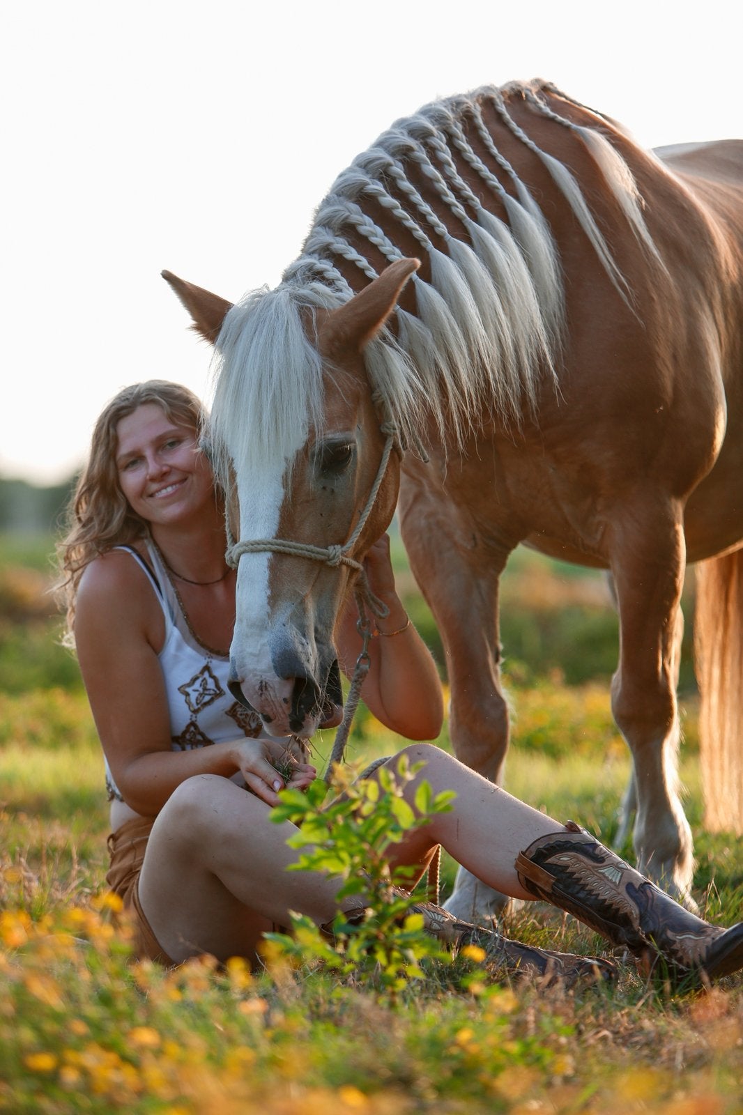 Leas paard aangeboden, Ophalen