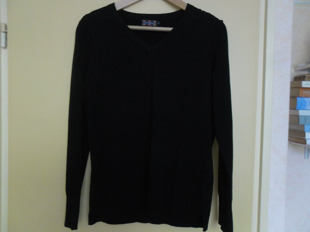 z.g.a.n. dames V-hals trui Maat L, Kleding | Dames, Blauw, Maat 42/44 (L), Ophalen of Verzenden, Zo goed als nieuw