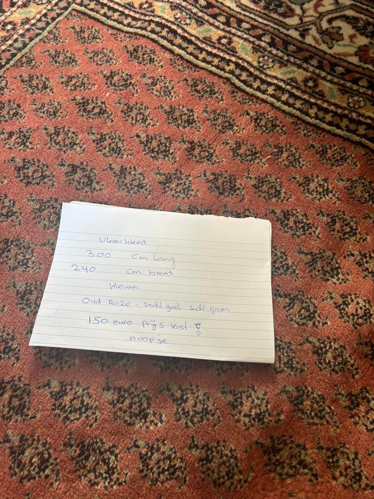Vloerkleed 300x240 cm voor maar 100 euro prijs verlaagd Roze, Huis en Inrichting, Stoffering | Tapijten en Kleden, Groen, 200 cm of meer