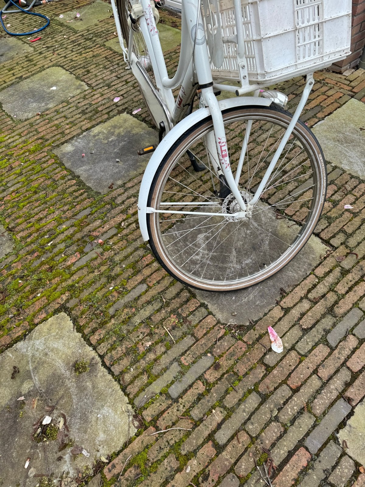 Cortina U4 moederfiets 28 inch, 7 versnellingen met mandje, Fietsen en Brommers, Fietsen | Dames | Moederfietsen, Mandje, Gebruikt