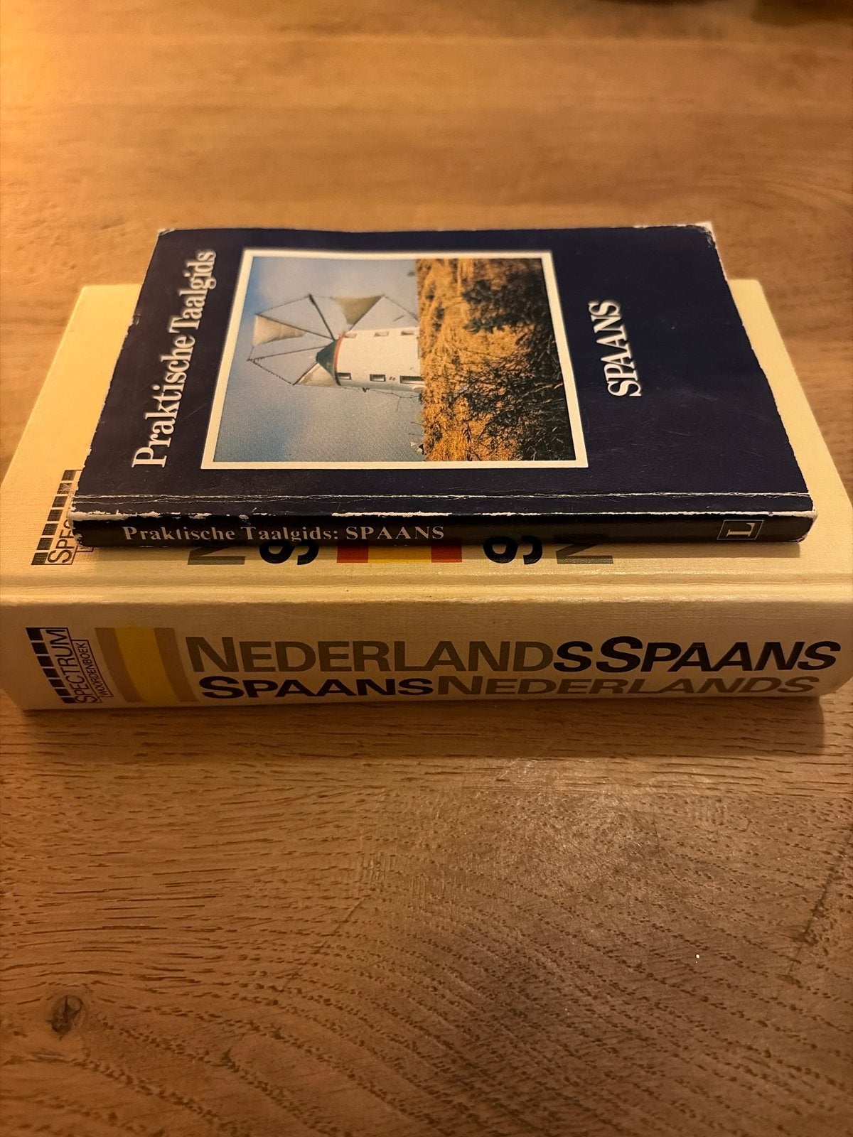 Nederlands-Spaans woordenboek & Praktische Taalgids Spaans, Ophalen of Verzenden, Gelezen, Non-fictie