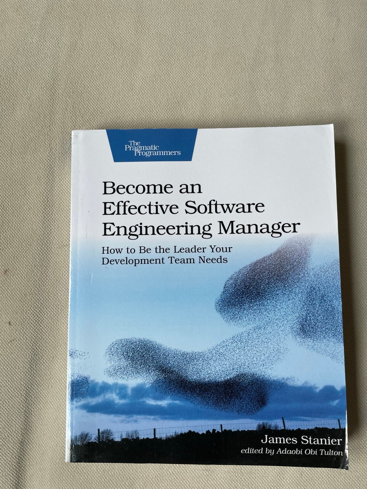 Become an Effective Software Engineering Manager, Boeken, Ophalen of Verzenden, Zo goed als nieuw