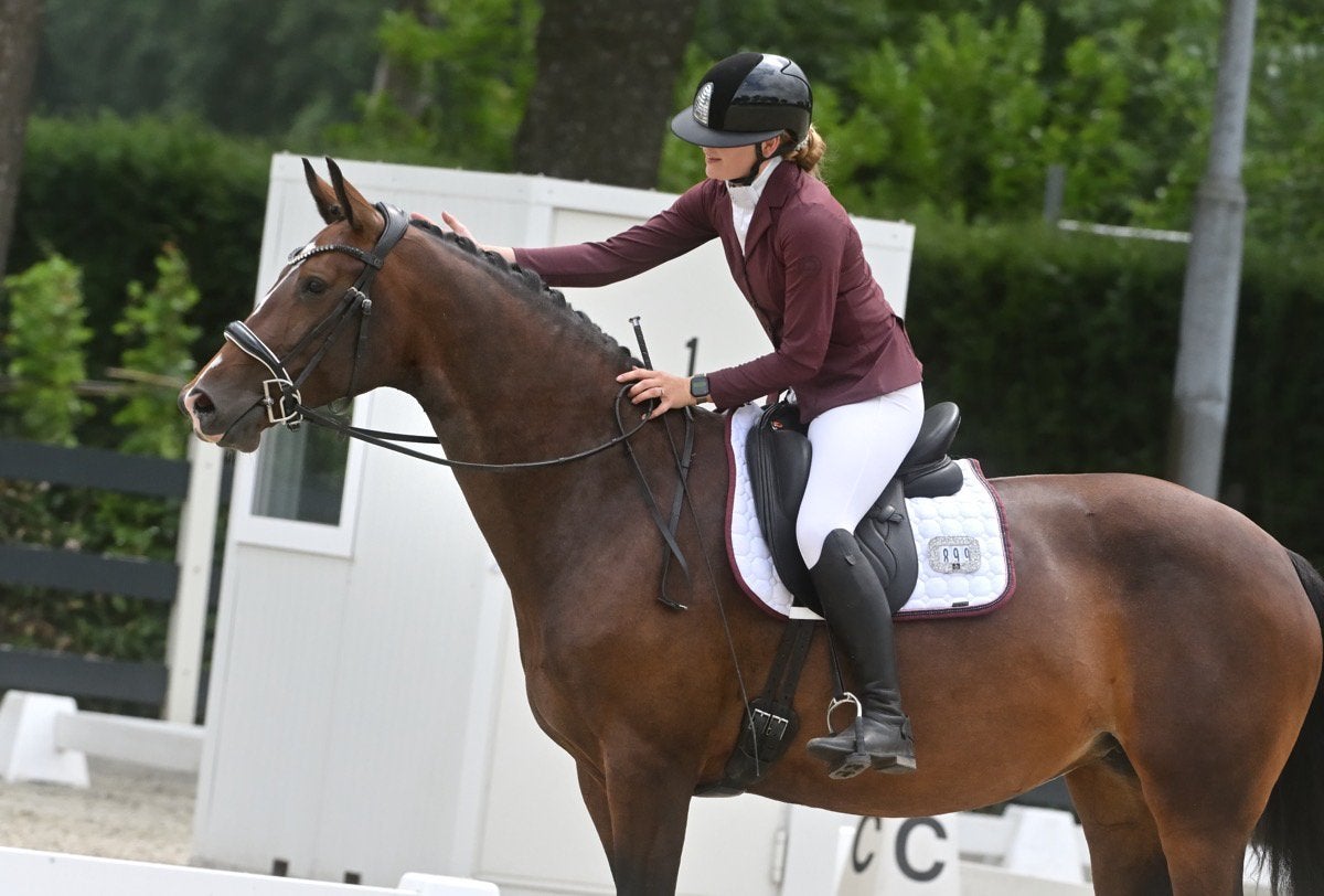 Verzorg(st)er gezocht voor 3 leuke paarden/pony’s!