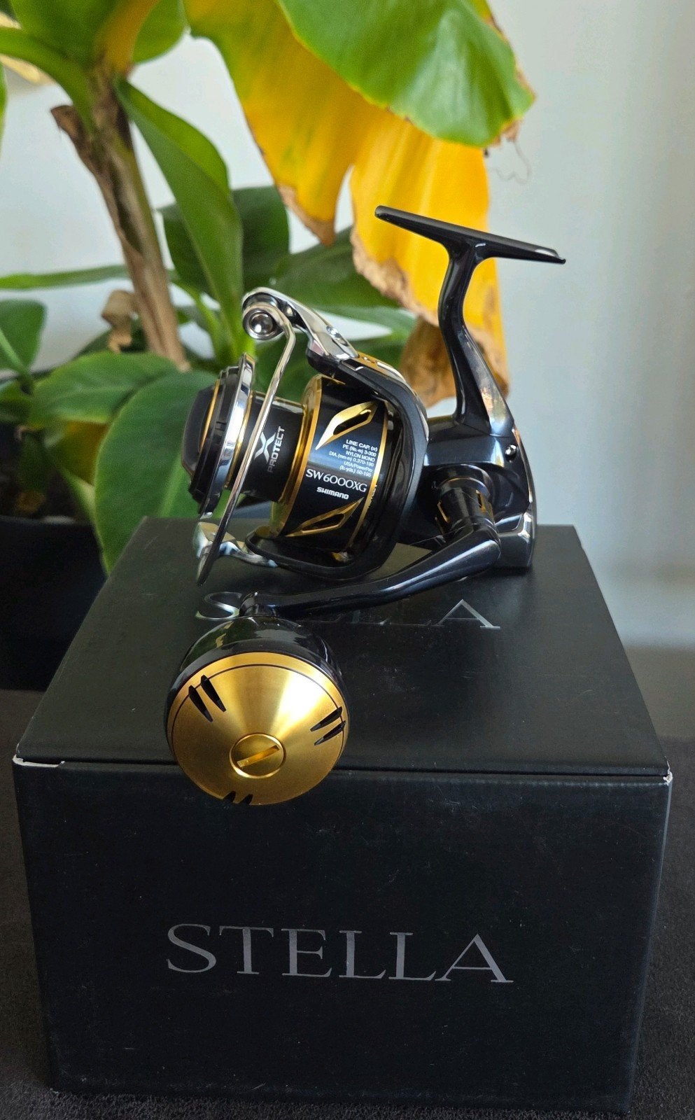 Shimano stella sw6000xg, Ophalen of Verzenden, Nieuw, Molen