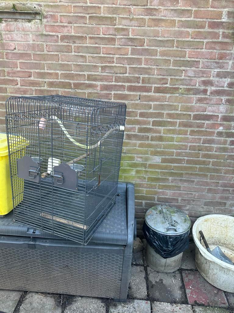 Vogelkooi met standaard, Ophalen of Verzenden, Metaal, Vogelkooi
