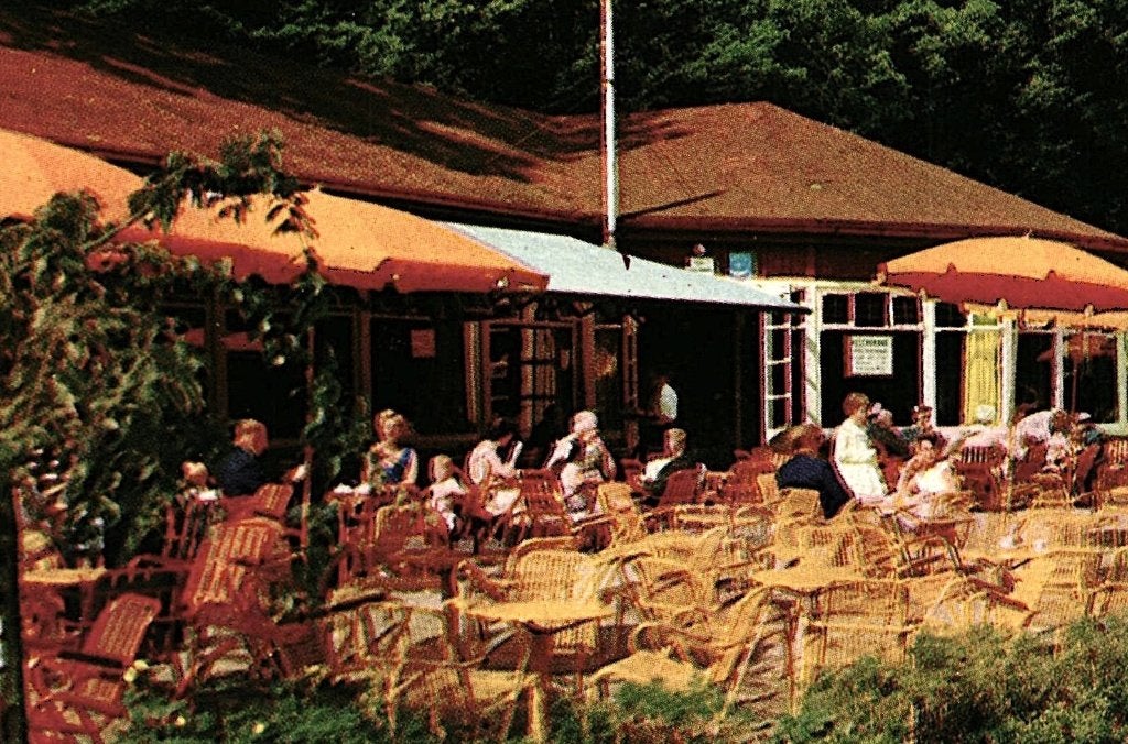 968162	Emmen	Jr 60 Drenthe	Noorderdierenpark	Dierentuin Zoo, Ophalen of Verzenden, 1960 tot 1980, Gelopen, Drenthe