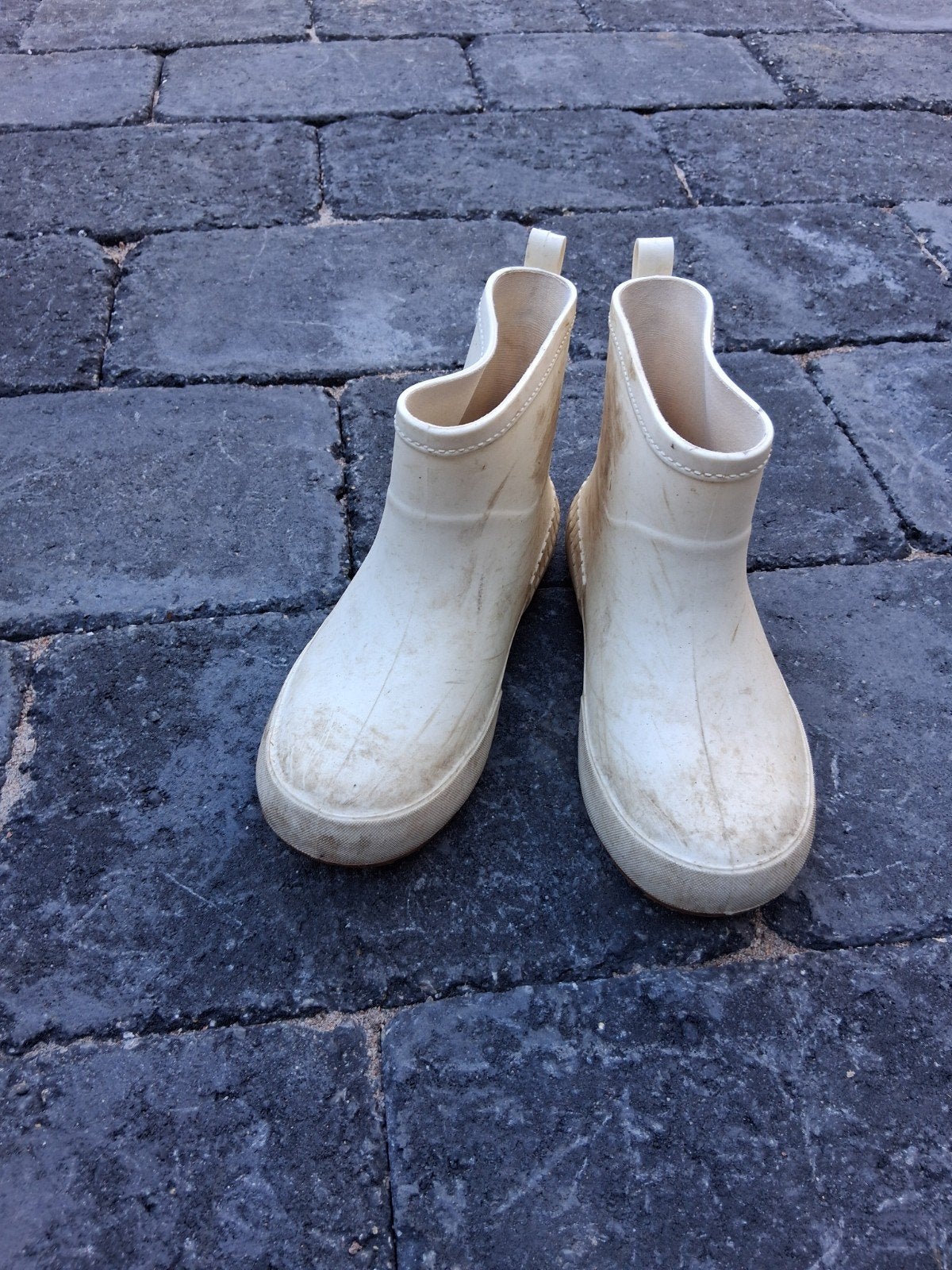 Witte korte laarsjes - Maat 37, Kleding | Dames, Schoenen, Wit, Ophalen of Verzenden, Regenlaarzen, Gedragen