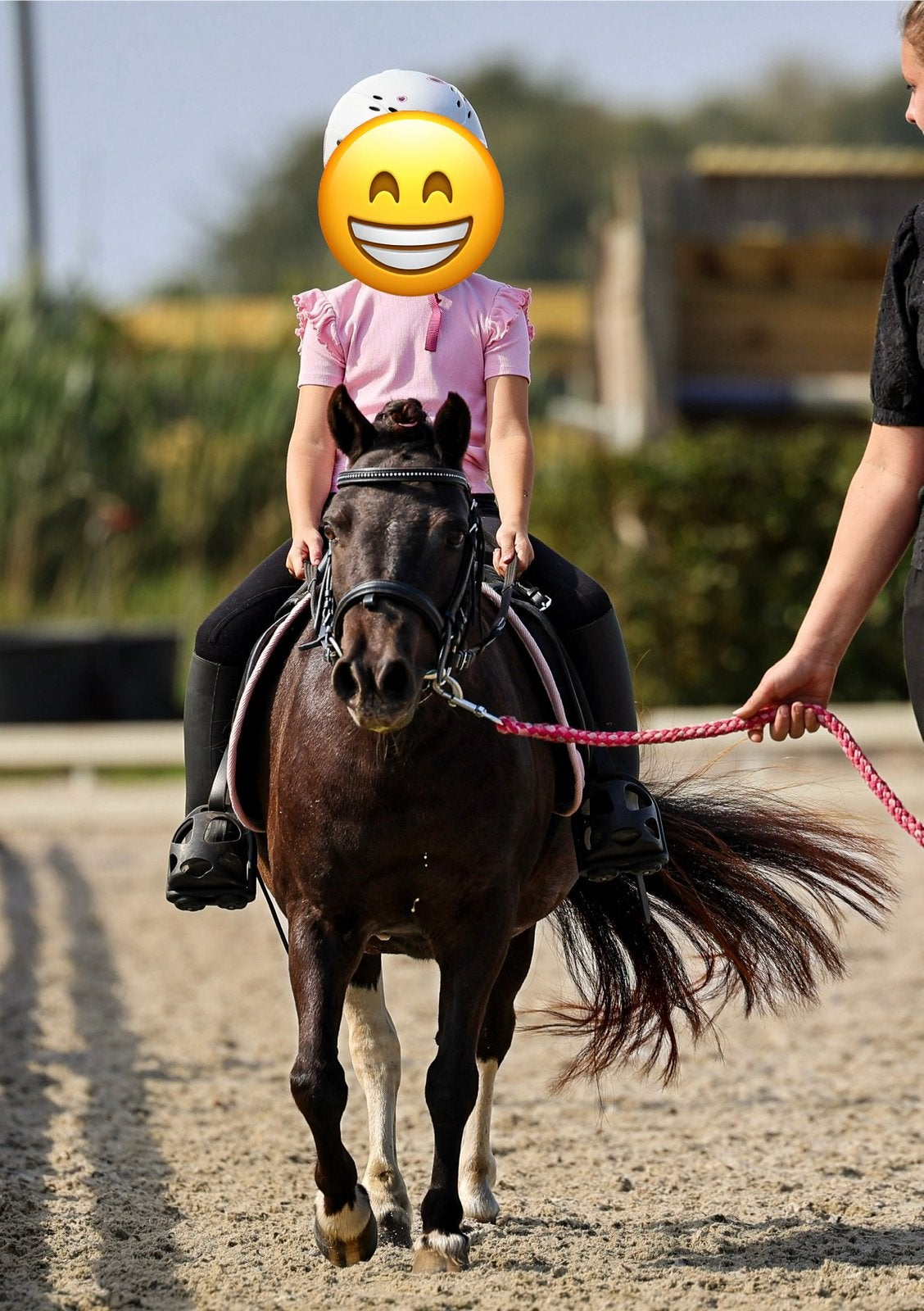 Super lieve kinder pony, Dieren en Toebehoren, Merrie, Niet van toepassing, A pony (tot 1.17m), Gechipt