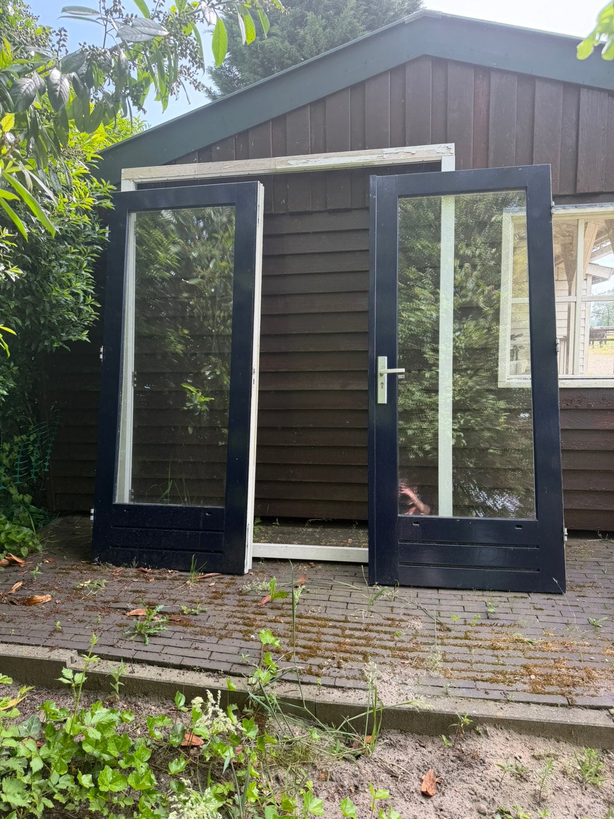 Fantastische dubbele deuren met dubbel glas, Doe-het-zelf en Verbouw, Deuren en Horren, Ophalen, 200 tot 215 cm, Glas, Buitendeur