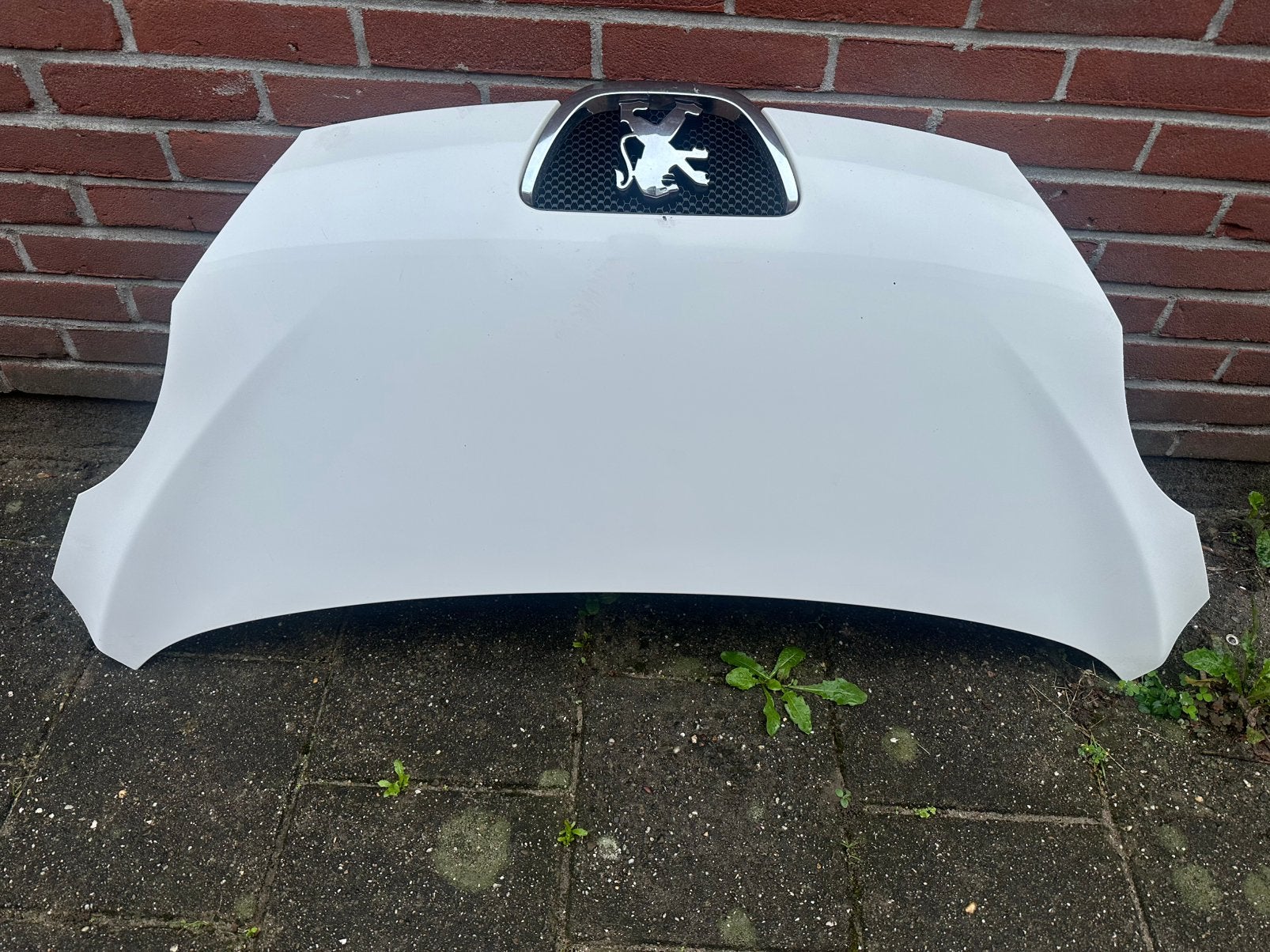 Motorkappen voor Peugeot 107, Auto-onderdelen, Ophalen of Verzenden, Voor, Peugeot, Motorkap