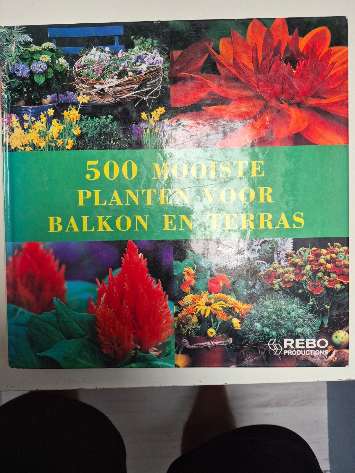 500 Mooiste Planten voor Balkon en Terras - Tuinboek, Ophalen of Verzenden, Gelezen, Rebo Productions, Tuinieren en Tuinplanten