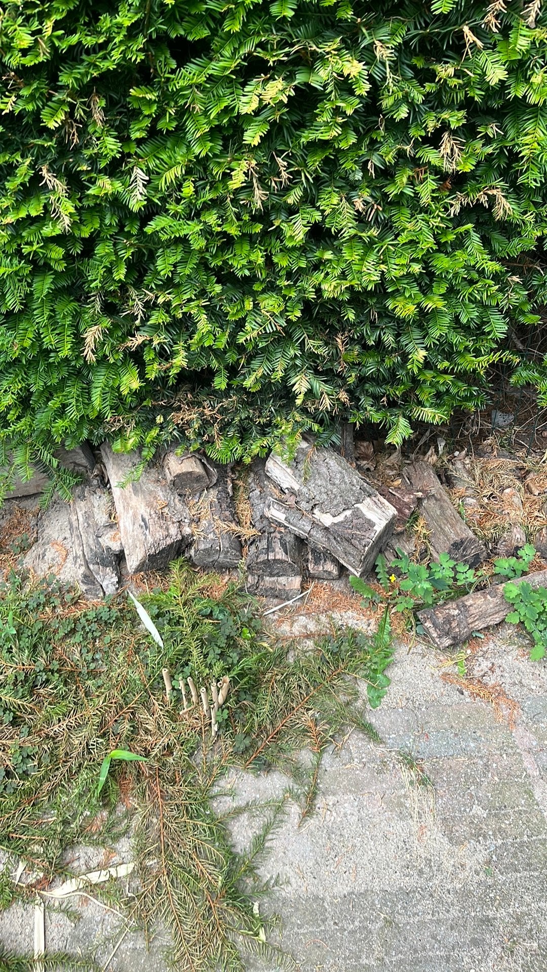 Gratis hout voor de open haard, Minder dan 3 m³, Ophalen, Blokken