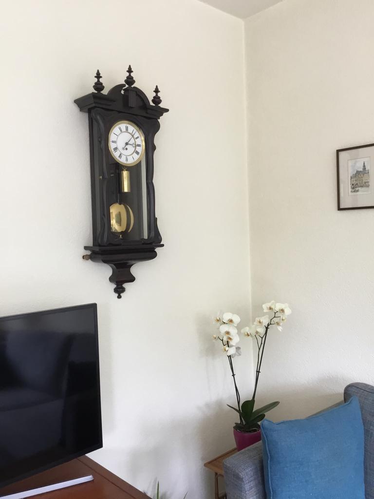 Antieke weense regulareur met snaar en een gewicht, Antiek en Kunst, Antiek | Klokken, Ophalen of Verzenden