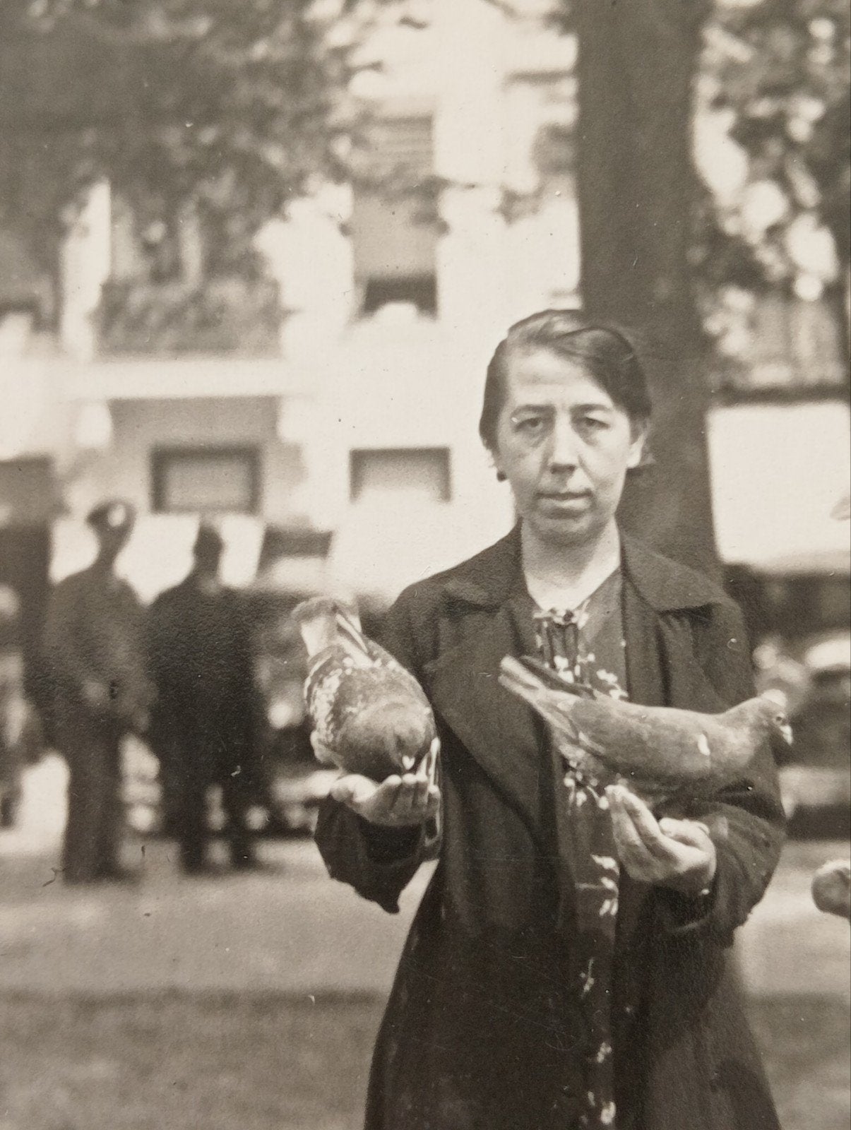 Maastricht fotokaart 1936 duiven voeren, Ophalen of Verzenden, Voor 1940, Gebruikt