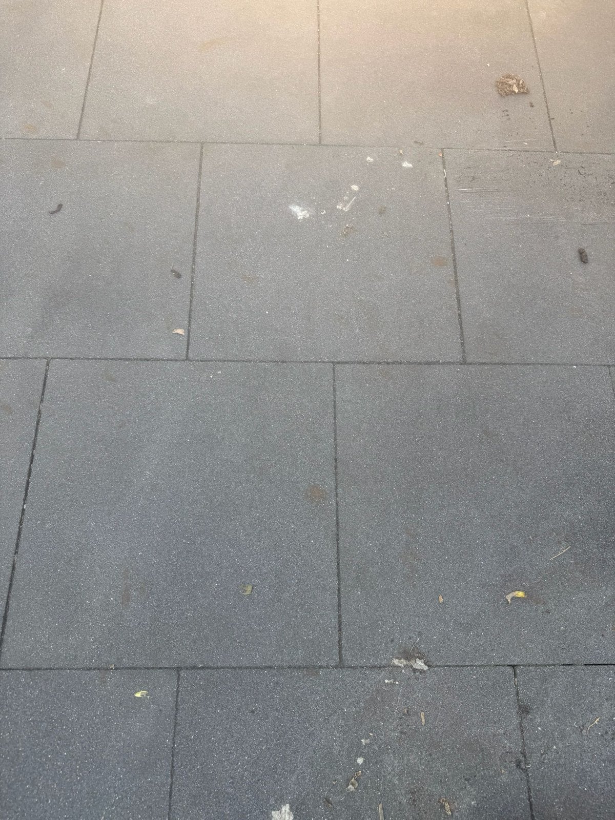 Antraciet tuintegels 60x60 zelf verwijderen €50, Tuin en Terras, Tegels en Klinkers, Ophalen of Verzenden, Zo goed als nieuw, 10 m² of meer