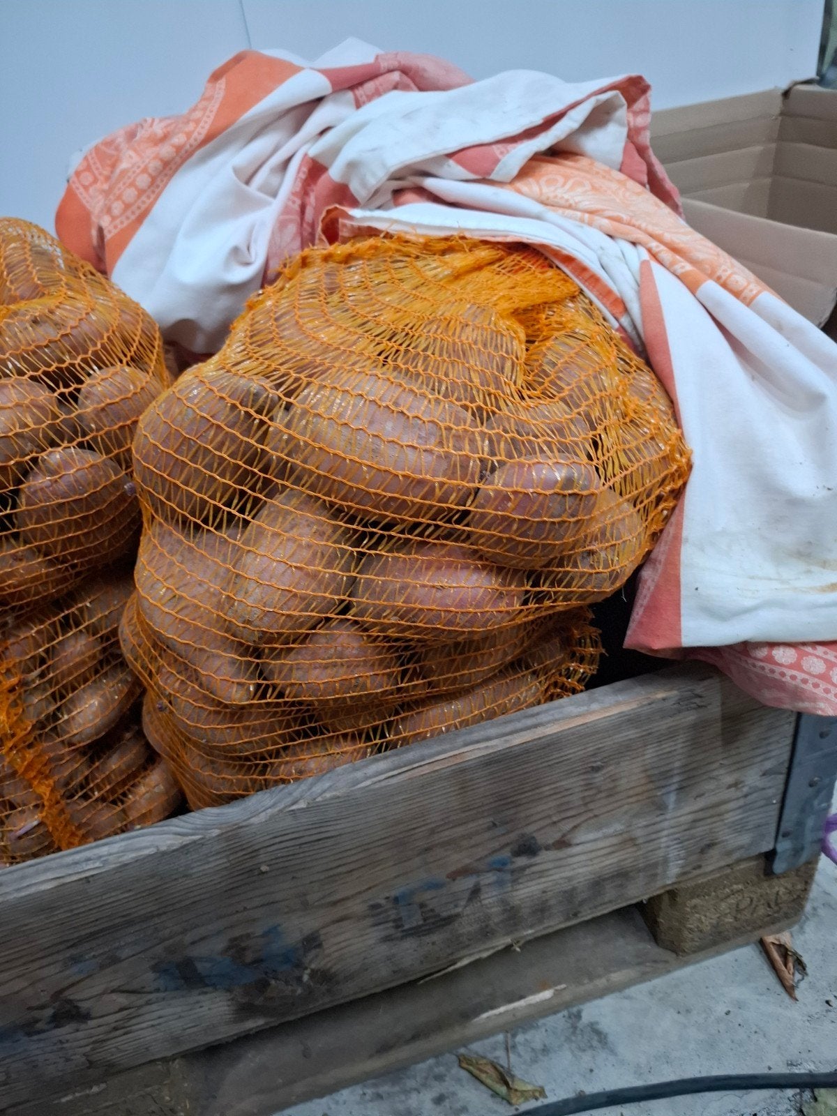Grote Bildstar Aardappelen - 25kg voor €10,-, Ophalen of Verzenden