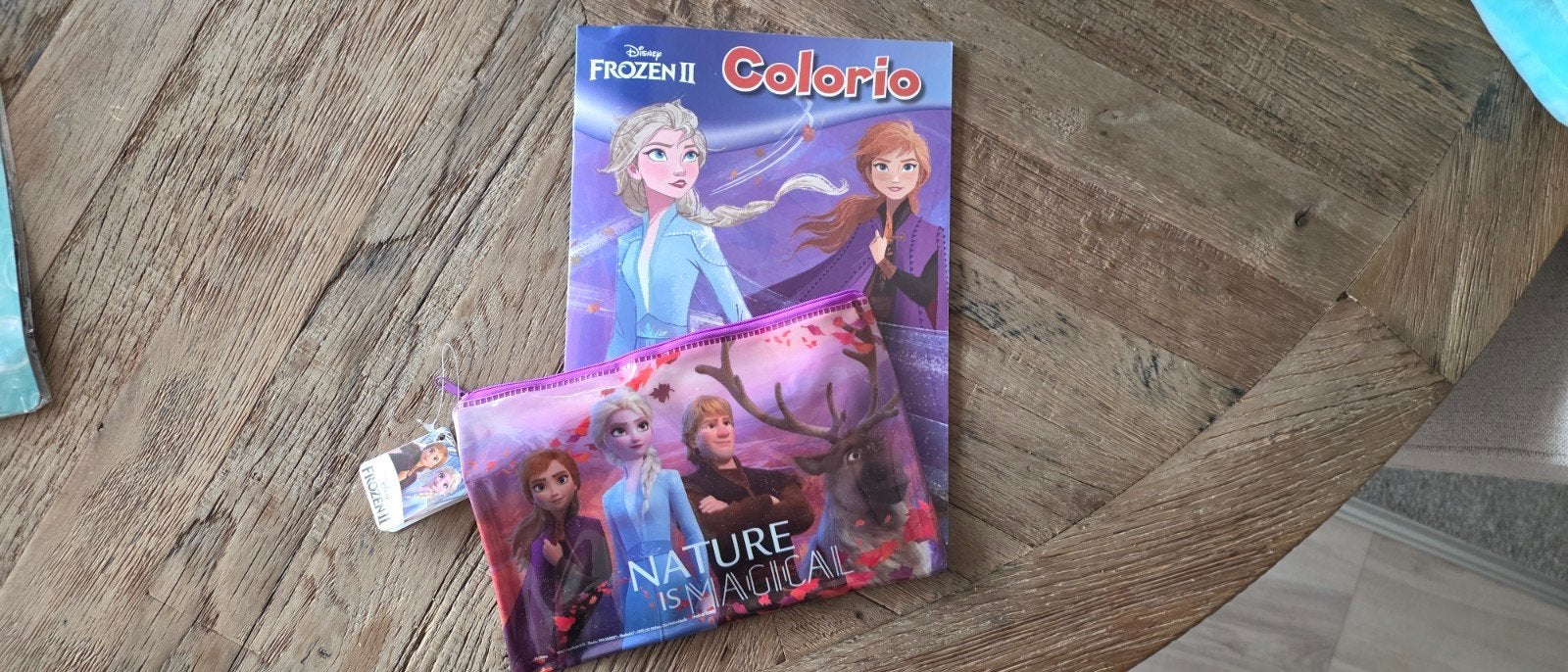 Frozen II Kleurboek en etui - Nieuw, Ophalen of Verzenden, Nieuw, Disney Frozen, Meisje