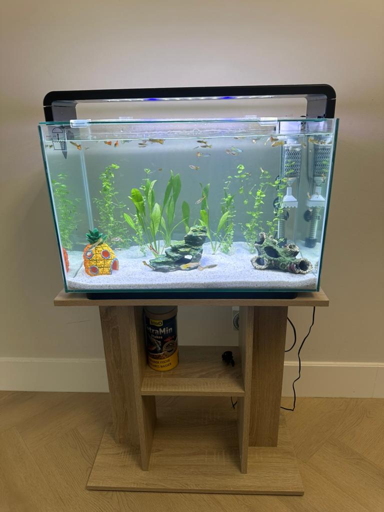 Aquarium Compleet, Ophalen, Zo goed als nieuw, Gevuld zoetwateraquarium