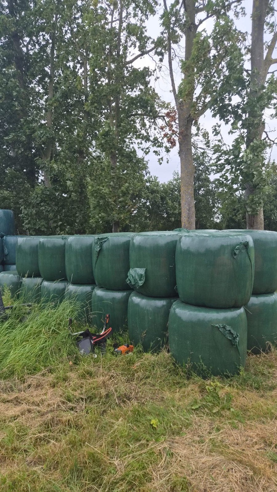 27 midibalen hooi, Dieren en Toebehoren, Dierenvoeding, Ophalen, Vee