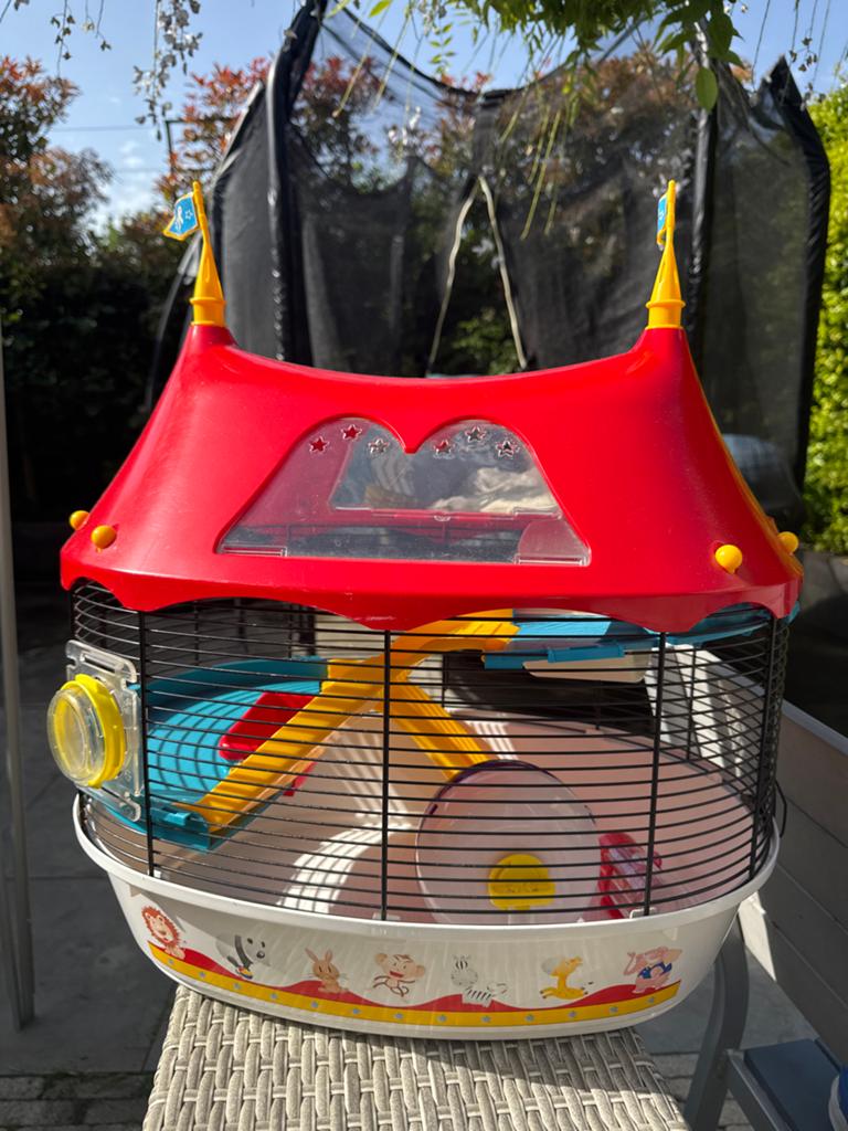 Hamster kooi circus, Dieren en Toebehoren, Minder dan 60 cm, Kooi, Minder dan 75 cm, Ophalen of Verzenden