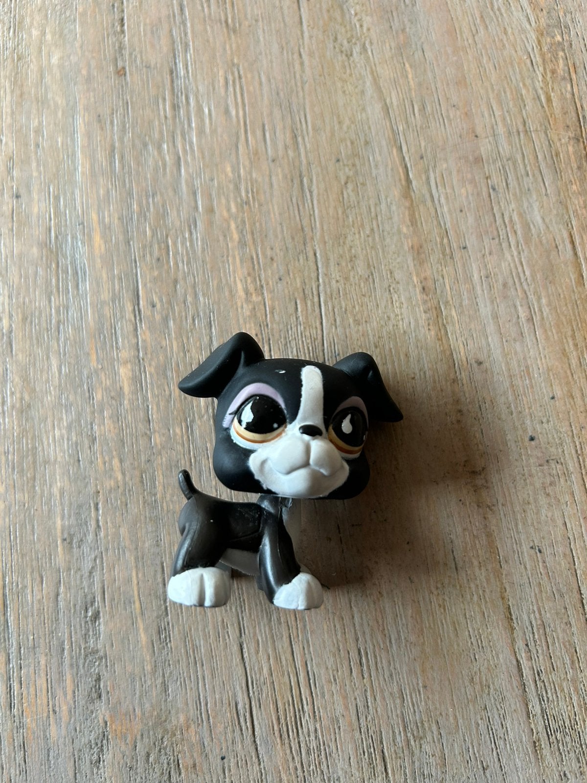 Terrier boxer black, Ophalen of Verzenden, Gebruikt