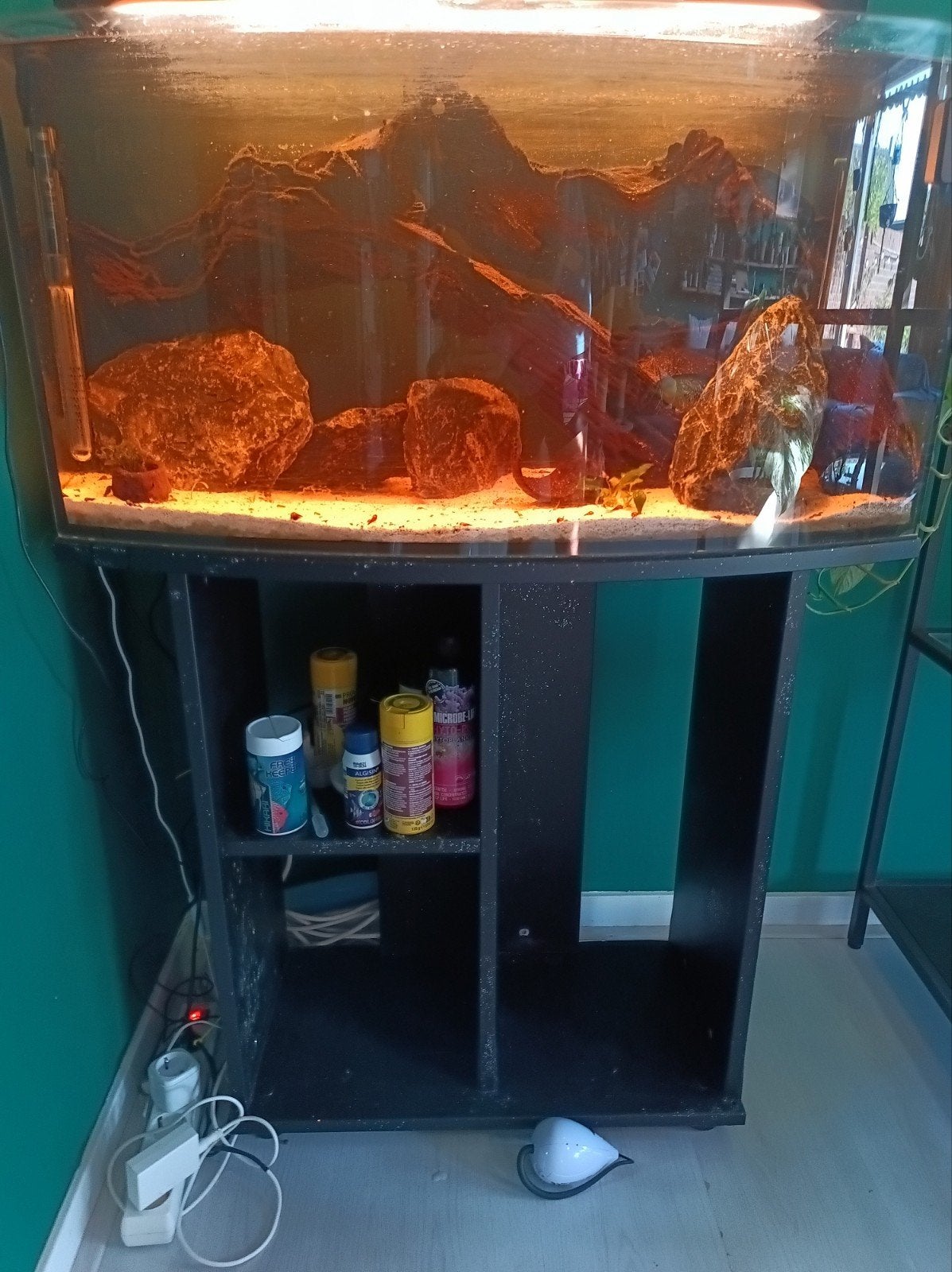 aquarium +kast + lamp, Ophalen, Leeg aquarium