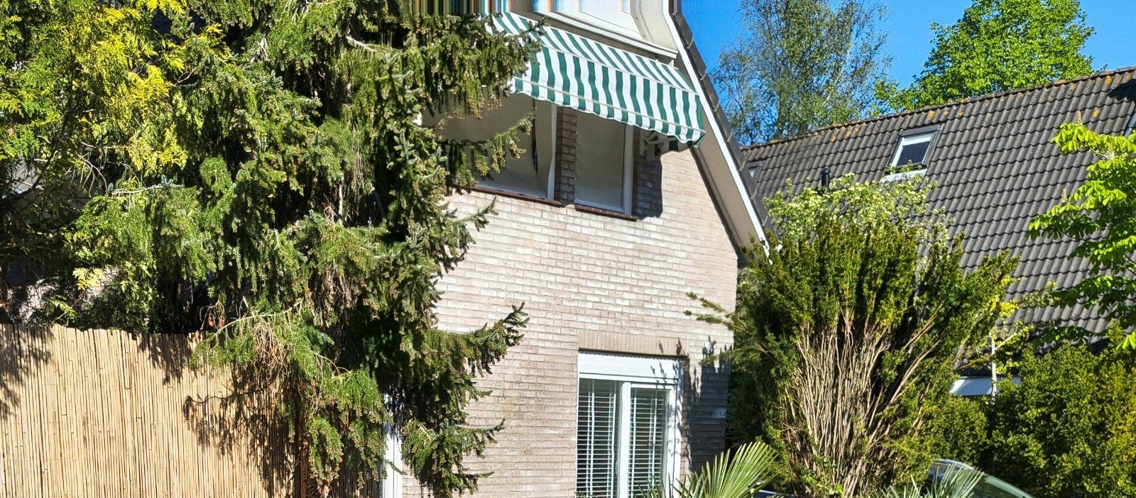 Markies zonwering 300cm breed, Ophalen of Verzenden