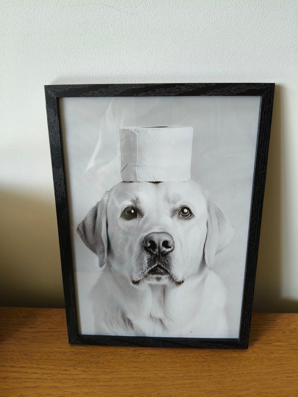Poster van de lieve labrador, Minder dan 50 cm, Nieuw, Ophalen of Verzenden, Schilderij