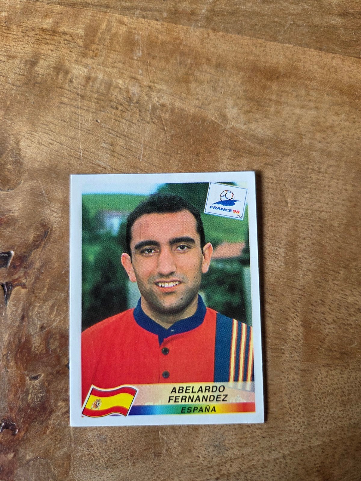 Panini WK 98, Ophalen of Verzenden, Zo goed als nieuw, Buitenlandse clubs, Poster, Plaatje of Sticker